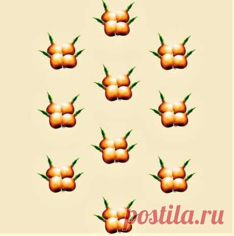 Сажаю лук по методу американских фермеров. Схема | Маленький сад на краю Вселенной | Яндекс Дзен