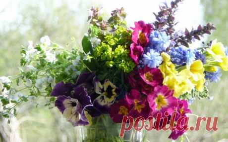 МИФЫ О ГИПЕРТОНИИ....