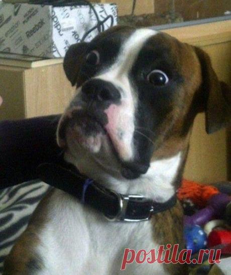 Мой Мир@Mail.Ru