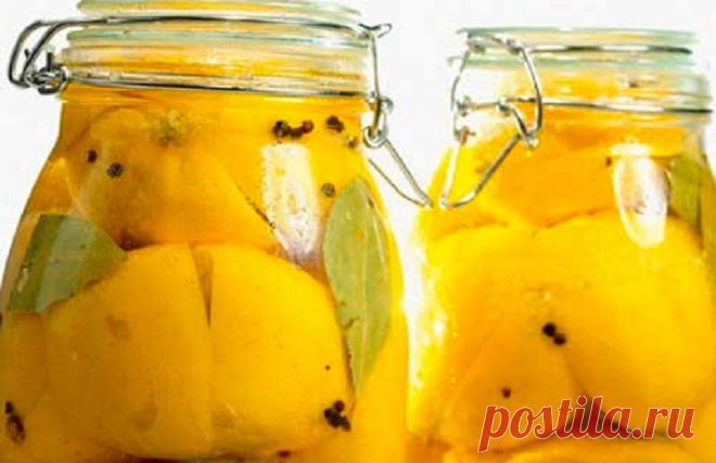 Хозяйка разрезала лимон и засыпала его солью… Увидев результат, я сделала то же самое! — Копилочка полезных советов