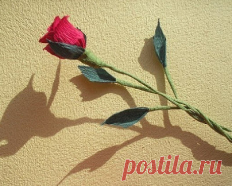 Розы из гофрированной бумаги