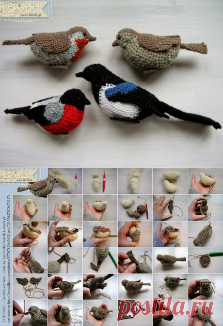 ПТИЧКИ КРЮЧКОМ