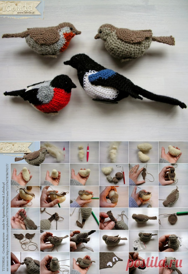 ПТИЧКИ КРЮЧКОМ