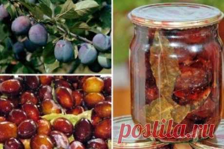 Рецепт маринованных слив.
