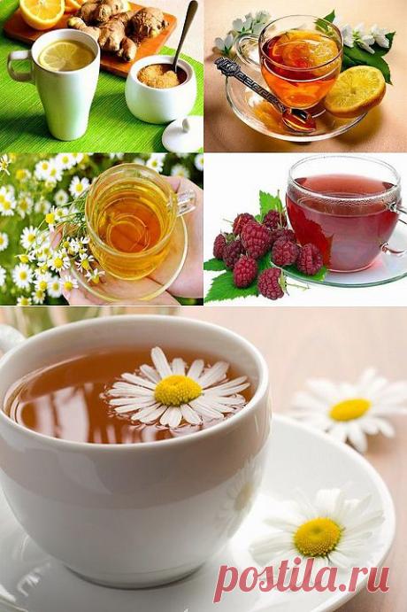 10 ЛУЧШИХ НАПИТКОВ, КОТОРЫЕ ПОСТАВЯТ ВАС НА НОГИ ПРИ ПРОСТУДЕ