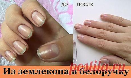 (1) Одноклассники