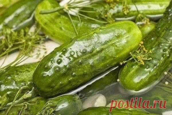 Чудесный рецепт очень вкусных малосольных огурцов

У огурцов обрезать кончики и сделать надрезы крест накрест с той стороны ,где была плодоножка.
Положить огурчики в эмалированную кастрюлю .
Добавить листики черной смородины,укроп,зеленые перья чеснока,листья хрена и кусочек черного хлеба.
Залить горячим рассолом так,чтобы чуть чуть прикрыть огурцы
Рассол:на 1 л воды -2-3 ст.л соли с горкой
Завтра утром огурчики будут готовы и порадуют вас своим изумительным вкусом