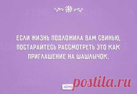Если жизнь подложила вам свинью...