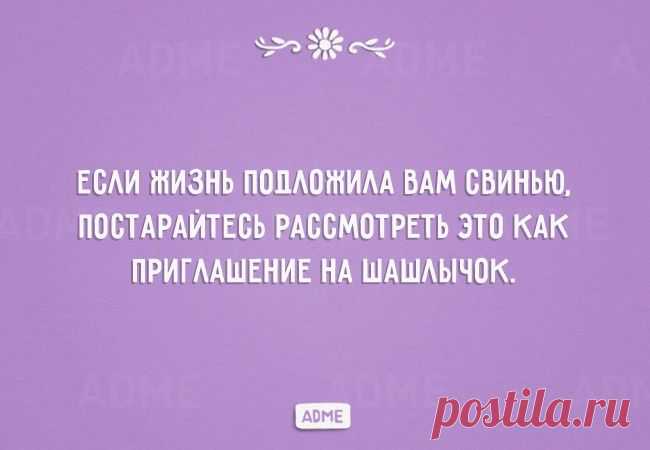 Если жизнь подложила вам свинью...