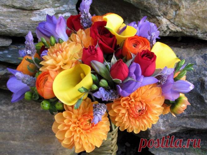 В гостях у Михалыча