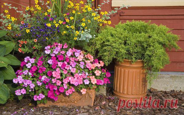Идеи для контейнерных садов и огородов на небольшом участке / Так живу я тут - в деревне / 7dach.ru