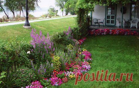 Создание цветника, не хитрые правила. - Садоводка