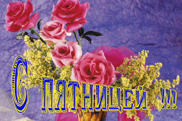 Анимация