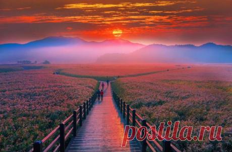 Страна утренней свежести: обворожительная, потрясающая, неземная Южная Корея Южная Корея — это страна контрастов, где затейливые пагоды соседствуют с небоскребами, а сады и парки — с многополосными шоссе и многоуровневыми развязками.Здесь все сделано для удобства человека: мок...