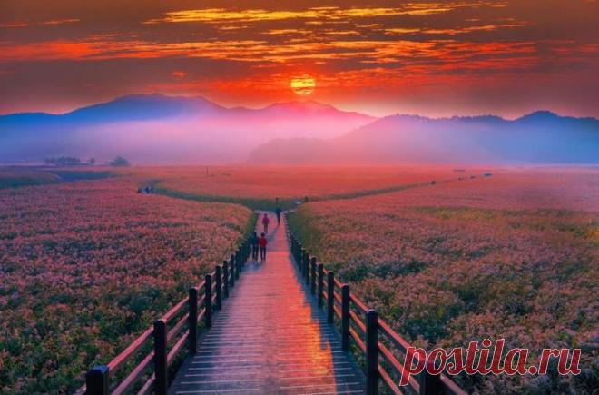 Страна утренней свежести: обворожительная, потрясающая, неземная Южная Корея Южная Корея — это страна контрастов, где затейливые пагоды соседствуют с небоскребами, а сады и парки — с многополосными шоссе и многоуровневыми развязками.Здесь все сделано для удобства человека: мок...