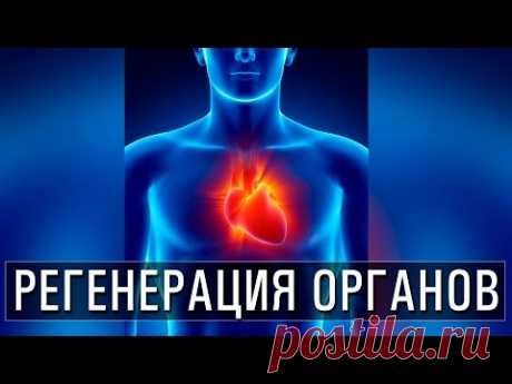 Галерея картинок Инфракрасная сауна: показания и противопоказания. Свойства