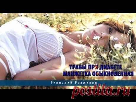Травы, снижающие сахар крови: какие понижают уровень