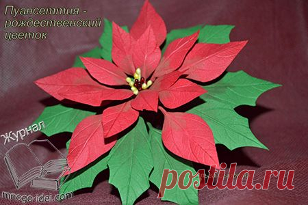 Пуансеттия "Рождественская звезда" из фоамирана мастер класс.