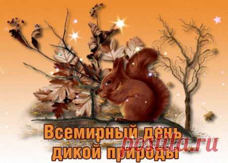 Со Всемирным днем природы
Берегите и цените
То, что видите вокруг,
Помните природа добрый
И надежный в жизни друг.