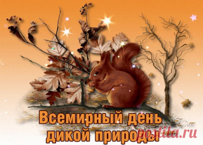 Со Всемирным днем природы
Берегите и цените
То, что видите вокруг,
Помните природа добрый
И надежный в жизни друг.