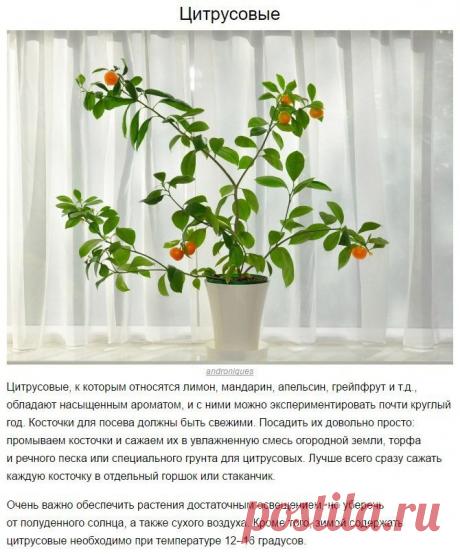 Интересные новости