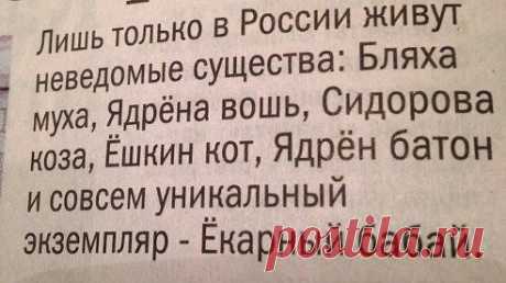 Сказочные звери, ещё бы навсегда забыли Ёрш твою медь и кучу других помощников нечисти.