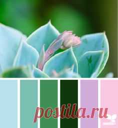 Декор для дома