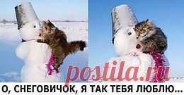 О, Снеговичок, я так тебя люблю...