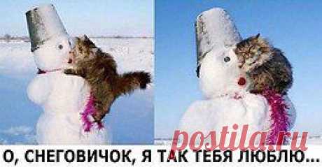 О, Снеговичок, я так тебя люблю...