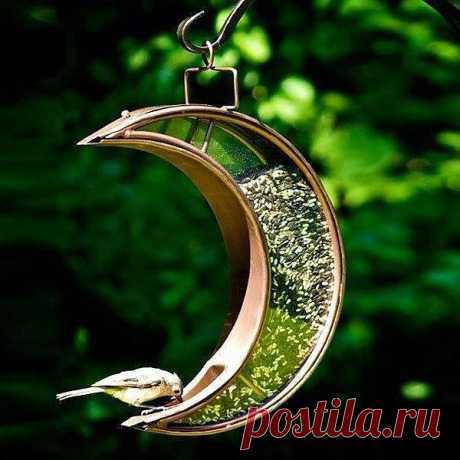 Мусульманская кормушка
