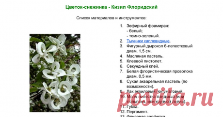 Цветок-снежинка - Кизил Флоридский Цветок-снежинка - Кизил Флоридский Список материалов и инструментов:    Зефирный фоамиран:- белый;- темно-зеленый. Тычинки каплевидные. Фигурный дырокол 6-лепестковый диам. 1,5 см. Масляная пастель. Клеевой пистолет. Секундный клей. Белая флористическая проволока диам. 0,5 мм. Сухая акваре...