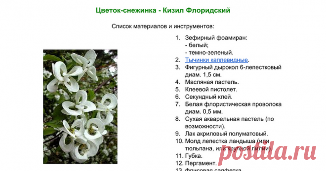 Цветок-снежинка - Кизил Флоридский Цветок-снежинка - Кизил Флоридский Список материалов и инструментов:    Зефирный фоамиран:- белый;- темно-зеленый. Тычинки каплевидные. Фигурный дырокол 6-лепестковый диам. 1,5 см. Масляная пастель. Клеевой пистолет. Секундный клей. Белая флористическая проволока диам. 0,5 мм. Сухая акваре...