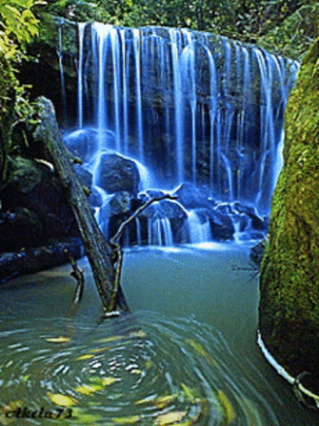 Yalcin Biricik – Google+