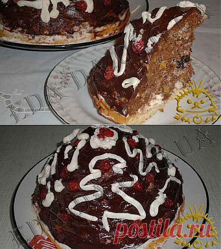 Торт "Кучерявый пинчер"..