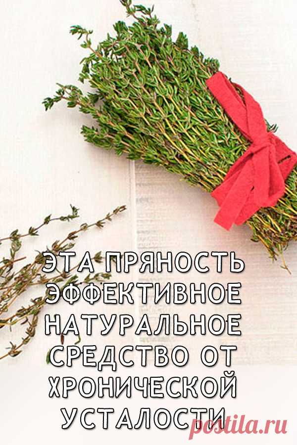 Эта пряность – эффективное натуральное средство от хронической усталости и не только
Это растение широко используется как в кулинарии, так и в народной медицине. Узнайте о целебных свойствах тимьяна или чабреца.
Народная Медицина — рецепты для лечения, cекреты и народные средства.