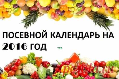 (16) Одноклассники