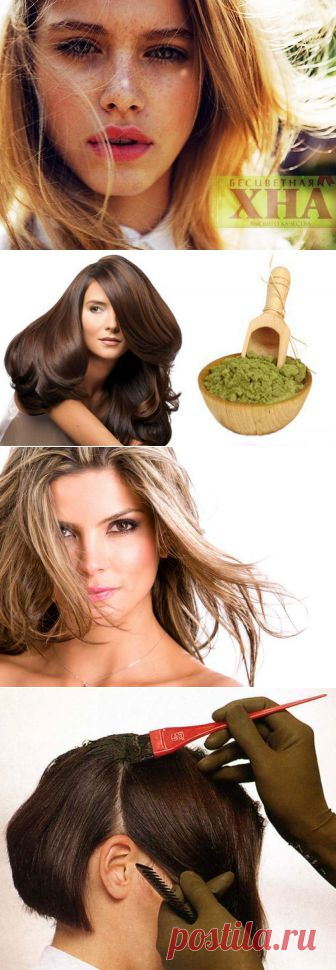 (+1) тема - Бесцветная хна — рецепты лечебных масок для волос | ВСЕГДА В ФОРМЕ!