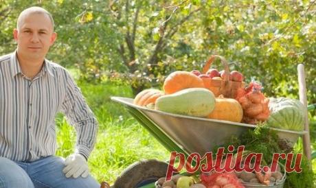 Секреты выживания для дачников