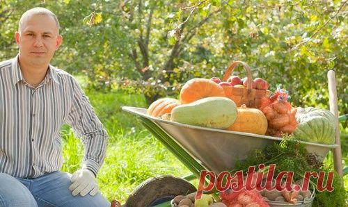 Секреты выживания для дачников