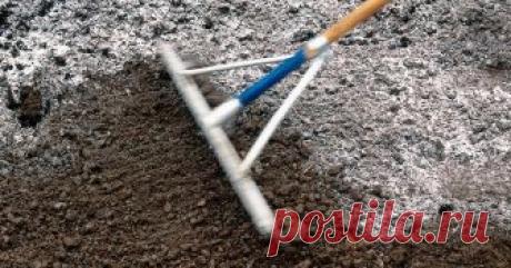 Как раскислить почву на участке – полезные советы для садоводов и огородников Кислая почва на участке способна сгубить многие растения и свести на нет все усилия по их выращиванию. Как исправить кислотность грунта на грядах и в саду?