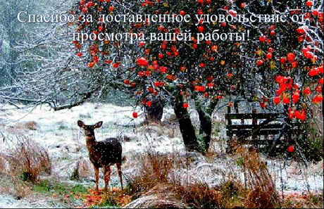 ЗИМНИЕ БЛАГОДАРИЛКИ - КРАСИВЫЕ КАРТИНКИ. ВИДЕО. МИР, В КОТОРОМ МЫ ЖИВЕМ! - Группы Мой Мир
