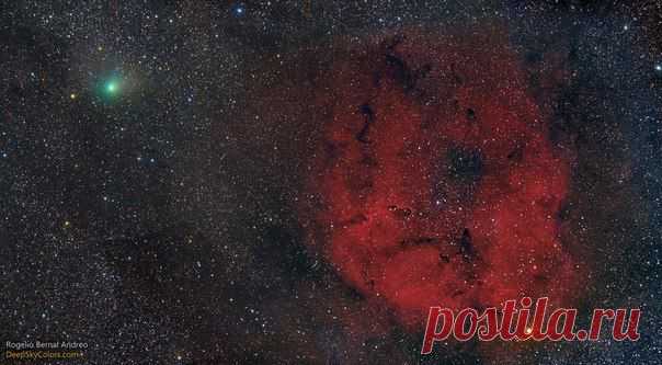 Комета C/2014 E2 Jacques и туманность IC 1396 nebula.  / Интересный космос