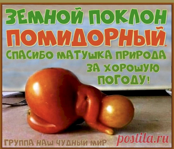 Выпуск №6404 - выпуск анекдотов сайта вокруг смеха