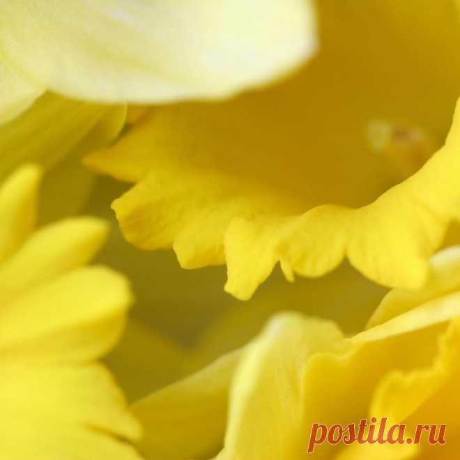 Mayo Fantasino в Instagram: «“Enjoy the peace of Nature and declutter your inner world.” ― Amit Ray, Mindfulness Living in the Moment - Living in the Breath  #believe…» 9 отметок «Нравится», 0 комментариев — Mayo Fantasino (@mayofantasino) в Instagram: «“Enjoy the peace of Nature and declutter your inner world.” ― Amit Ray, Mindfulness Living in the…»