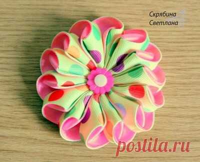 (2) Одноклассники