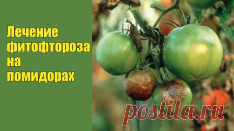 (44) Одноклассники