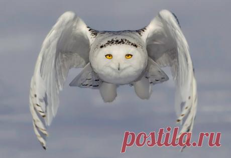 Pictures of the day: 20 March 2015