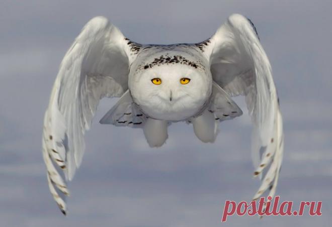 Pictures of the day: 20 March 2015