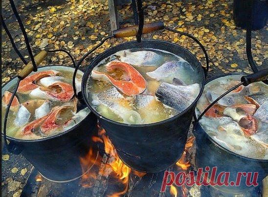 Уха по камчатски....уффф