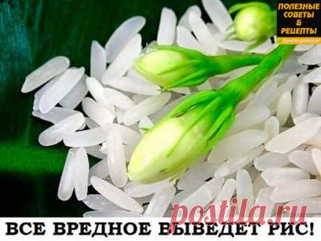 Все вредное выведет рис!
Секрет тибетских лам. 
Возьмем обычный рис, столько столовых ложек, сколько вам лет. Промоем, засыплем в банку, зальем теплой кипяченой водой, закроем крышкой и поставим в холодильник. Утром воду сольем, возьмем 1 столовую ложку с верхом риса, сварим его в течение 3-4 минут без соли и съедим натощак до половины восьмого утра. Оставшийся рис снова зальем кипяченой водой и поставим в холодильник. И так поступаем каждое утро, пока рис не закончится. 
Секрет метода заключае